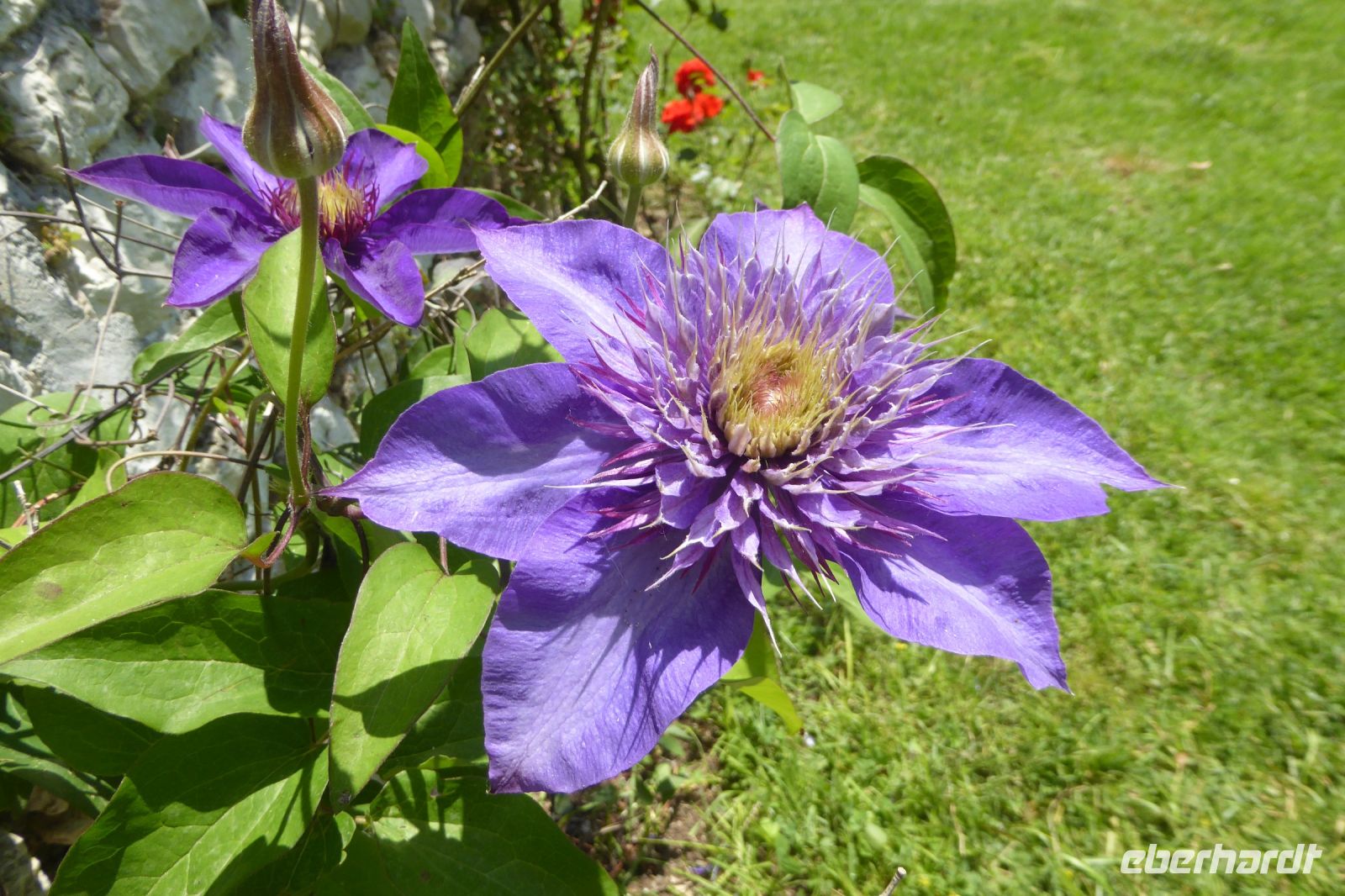 Tag 6 18.05.2022 Ninfagarten 