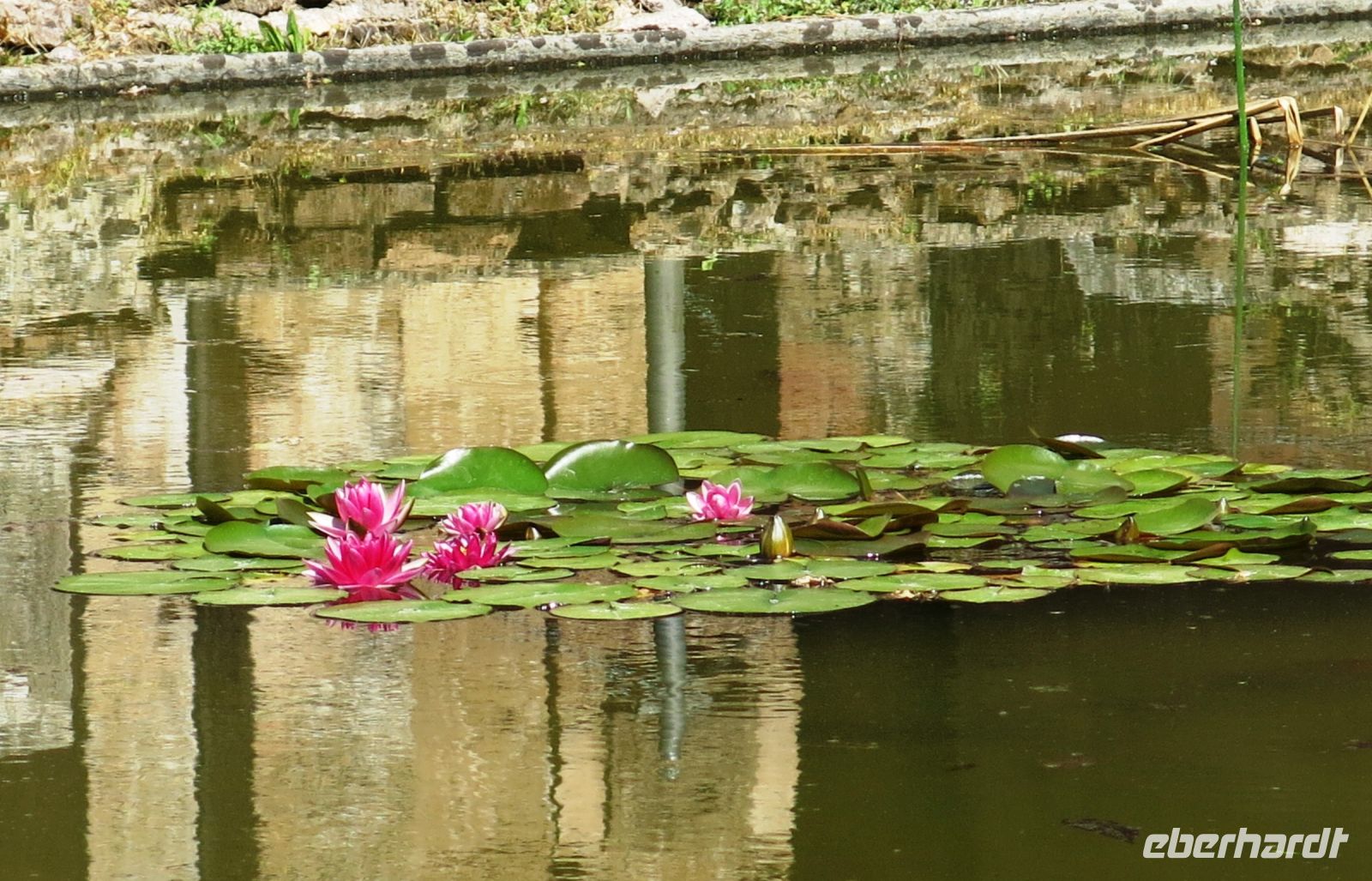 Tag 7 19.05.2022 Villa Adriana 