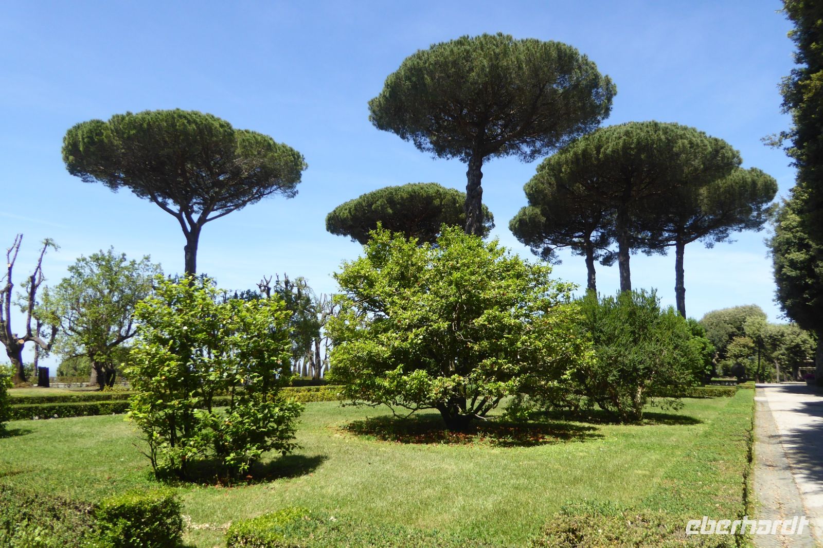 Tag 8 20.05.2022 Castel Gandolfo 