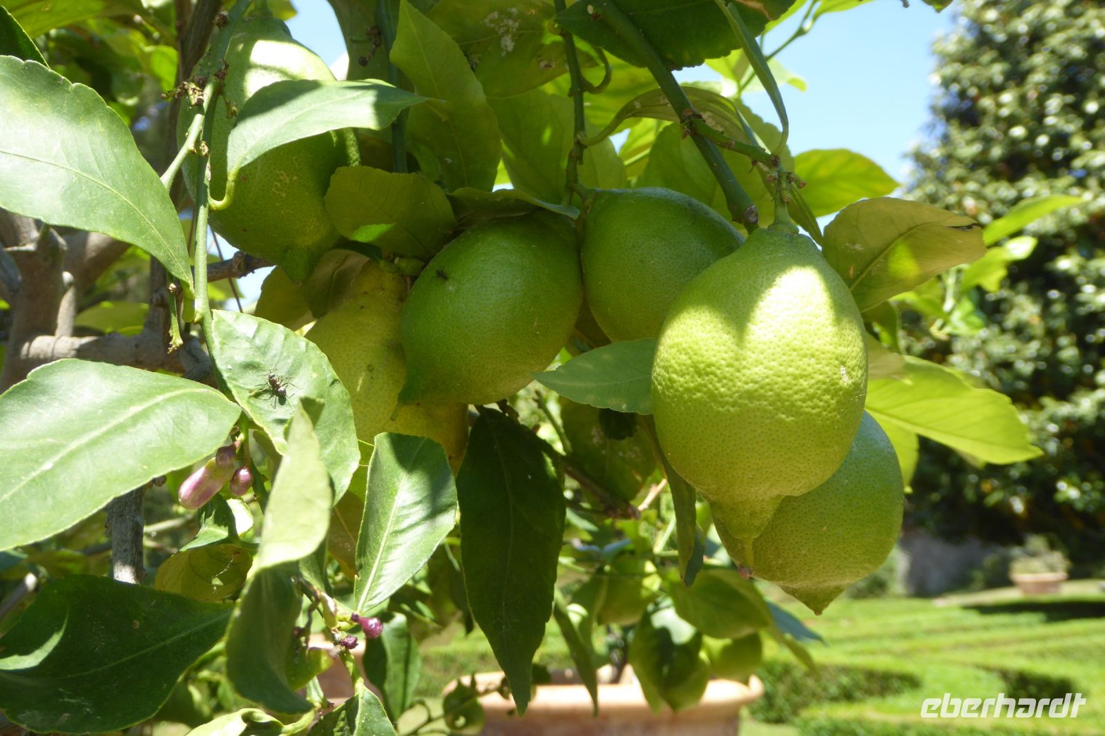 Tag 8 20.05.2022 Castel Gandolfo 