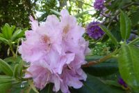 Tag 9 21.05.2022 Villa Lante