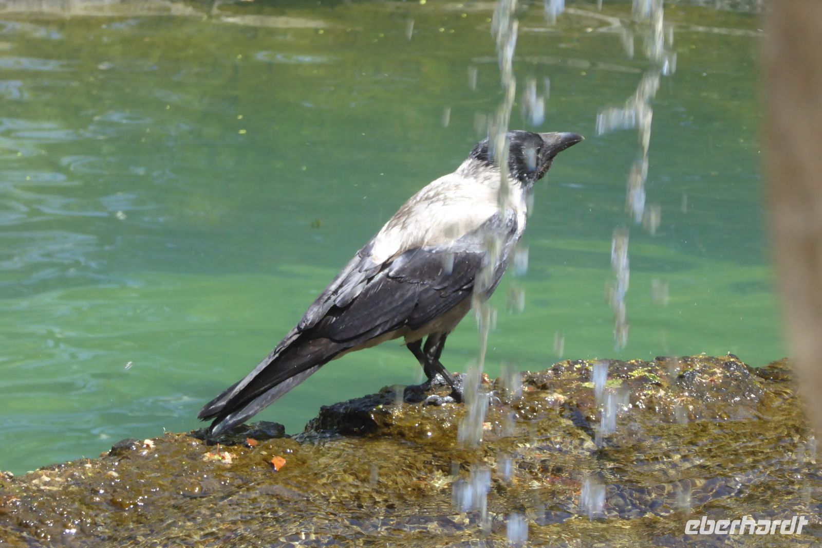 Tag 9 21.05.2022 Villa Lante