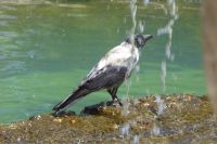 Tag 9 21.05.2022 Villa Lante