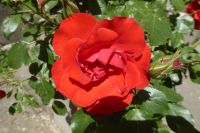 Tag 9 21.05.2022 Villa Lante