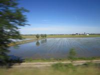 Lago_Maggiore_Impressione (15)