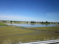 Lago_Maggiore_Impressione (16)