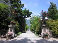 Lago_Maggiore_Isola_Madre (12)
