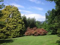 Lago_Maggiore_Isola_Madre (13)