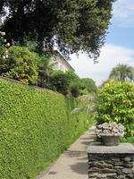 Lago_Maggiore_Isola_Madre (18)