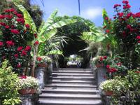 Lago_Maggiore_Isola_Madre (2)