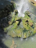 Tivoli_Villa_Este (18)