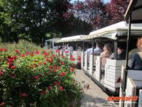 Valeggio_Giardino_SigurtÃ  (10)