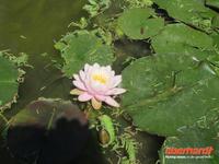 Valeggio_Giardino_SigurtÃ  (5)