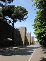 Viterbo_Altstadt (1)