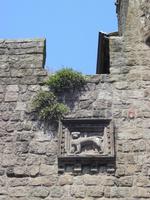 Viterbo_Altstadt (15)