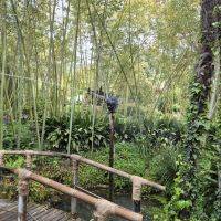 01 Gardone, Hellergartem &ndash; &copy; Lutz Finkler (Eberhardt TRAVEL)