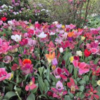 06 Gardone, Hellergarten &ndash; &copy; Lutz Finkler (Eberhardt TRAVEL)