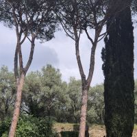 36 Tivoli, Hadriansvilla &ndash; &copy; Lutz Finkler (Eberhardt TRAVEL)