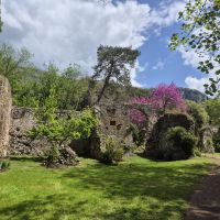 42 Ninfa &ndash; &copy; Lutz Finkler (Eberhardt TRAVEL)