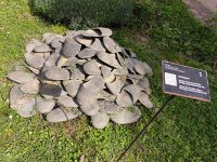 Hommage an Beuys im Spoerri Garten  &ndash; &copy; Heike Jack (Eberhardt TRAVEL)