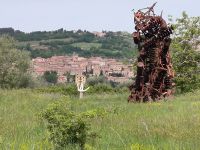 Blick nach Seggiano  &ndash; &copy; Heike Jack (Eberhardt TRAVEL)