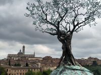 Siena &ndash; &copy; Heike Jack (Eberhardt TRAVEL)