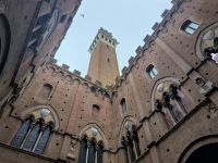 Siena. Im Rathaus &ndash; &copy; Heike Jack (Eberhardt TRAVEL)