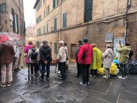 Siena  &ndash; &copy; Heike Jack (Eberhardt TRAVEL)