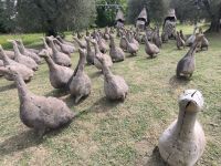 Gänse im Spoerri Garten  &ndash; &copy; Heike Jack (Eberhardt TRAVEL)