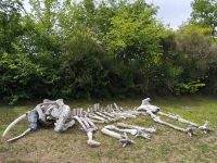 Spoerri Garten  &ndash; &copy; Heike Jack (Eberhardt TRAVEL)