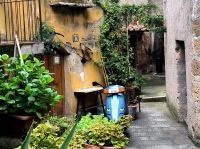 Wie er guckt ;-) &ndash; &copy; Heike Jack (Eberhardt TRAVEL)