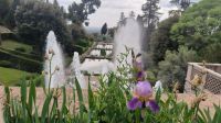Villa d'Este  &ndash; &copy; Heike Jack (Eberhardt TRAVEL)