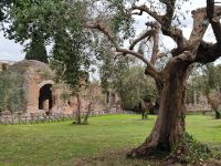 Villa Adriana  &ndash; &copy; Heike Jack (Eberhardt TRAVEL)