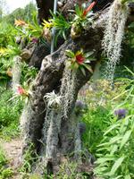 Andre Heller, Garten in Gardone