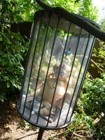 Andre Heller Garten, Gardone, Homo Horribilis