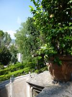 Villa d'Este, Tivoli, Blick aus der Loggia in den Garten