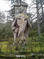 Heiliger Wald in Bomarzo, Kampfelefant