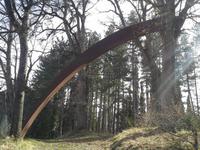 Spoerrigarten, Seggiano, Bogen