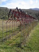 Spoerrigarten, Seggiano, Sensenspalier