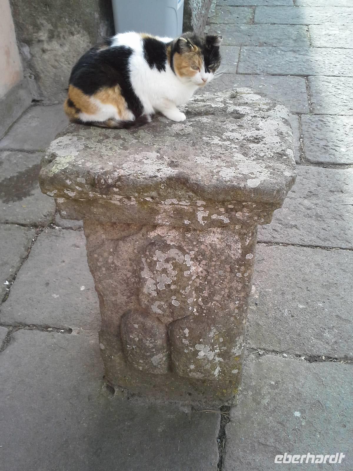 Villa Lante, Hauskatze