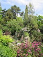 Gardone_Heller (12)