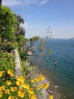 Lago_Maggiore_Isola_Madre (17)