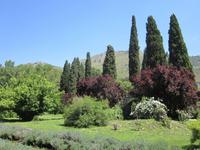 Ninfa (14)