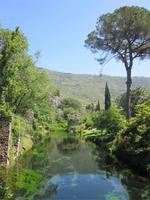 Ninfa (15)