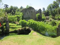 Ninfa (16)
