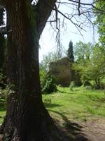 Ninfa