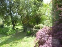 Ninfa
