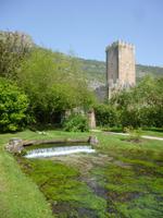 Ninfa