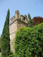 Ninfa