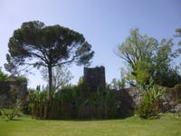 Ninfa